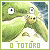 Totoro fan