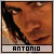 Antonia Banderas fan
